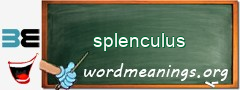WordMeaning blackboard for splenculus
